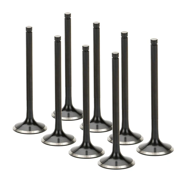 Exhaust Valve